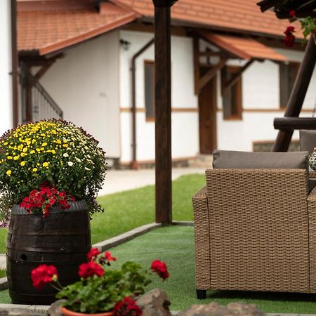 Magda Garden Hotel Cîrţişoara Екстериор снимка