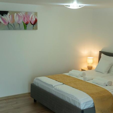 Magda Garden Hotel Cîrţişoara Екстериор снимка