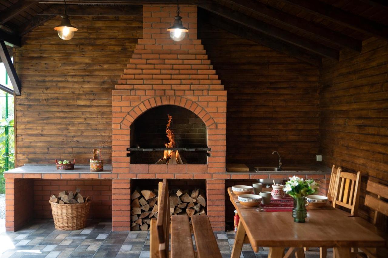 Magda Garden Hotel Cîrţişoara Екстериор снимка