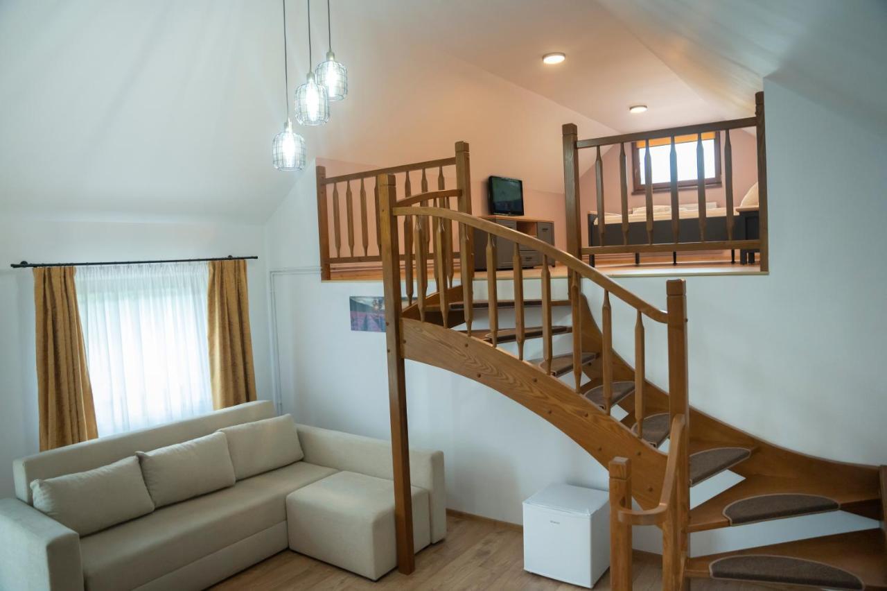 Magda Garden Hotel Cîrţişoara Екстериор снимка