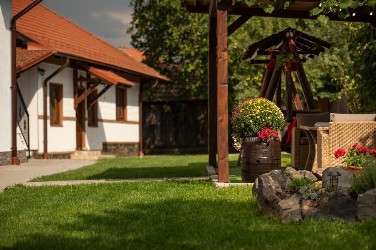 Magda Garden Hotel Cîrţişoara Екстериор снимка