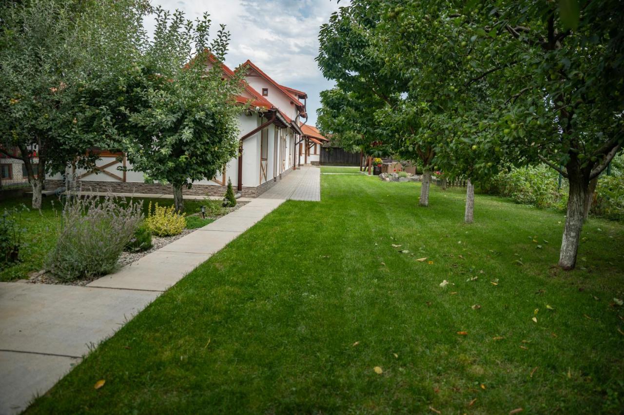 Magda Garden Hotel Cîrţişoara Екстериор снимка