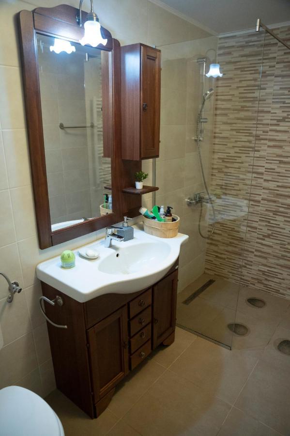 Magda Garden Hotel Cîrţişoara Екстериор снимка