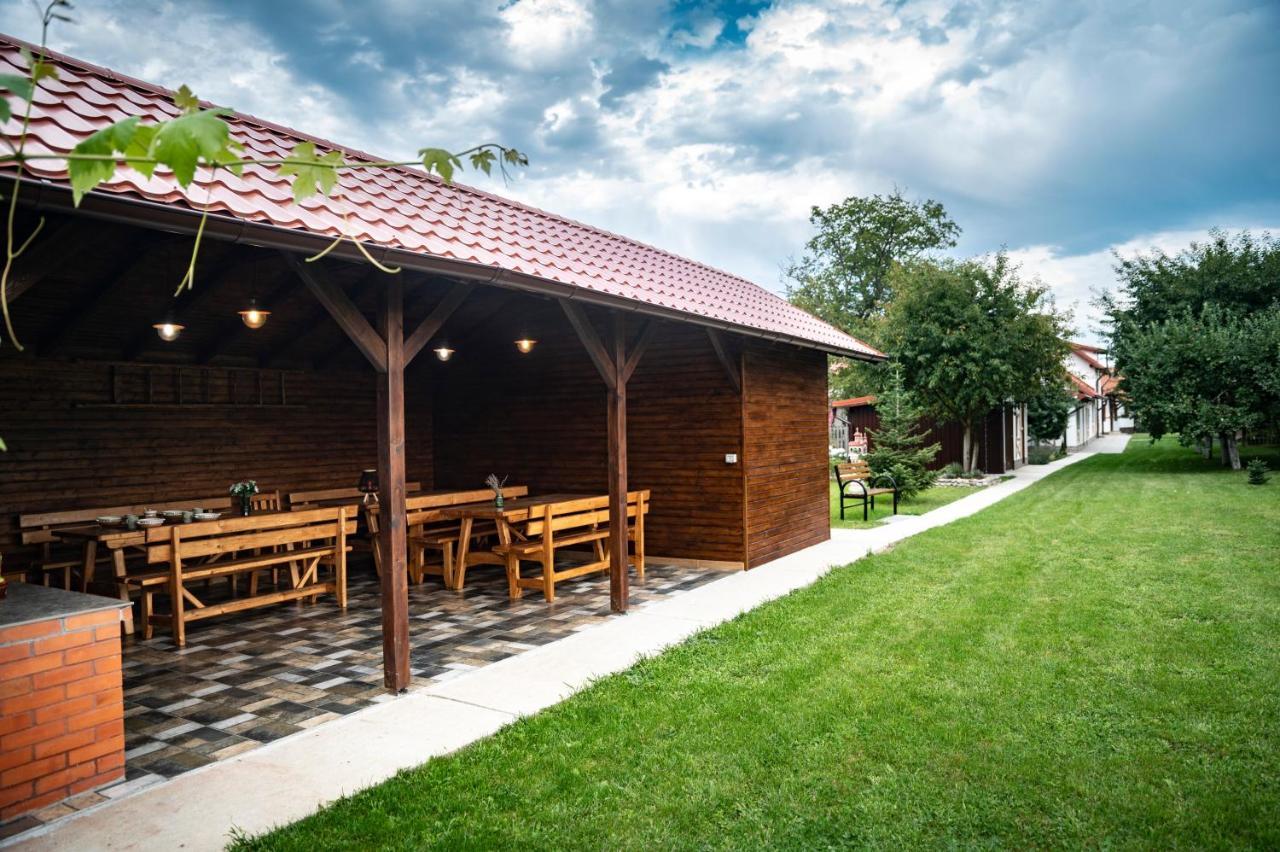 Magda Garden Hotel Cîrţişoara Екстериор снимка