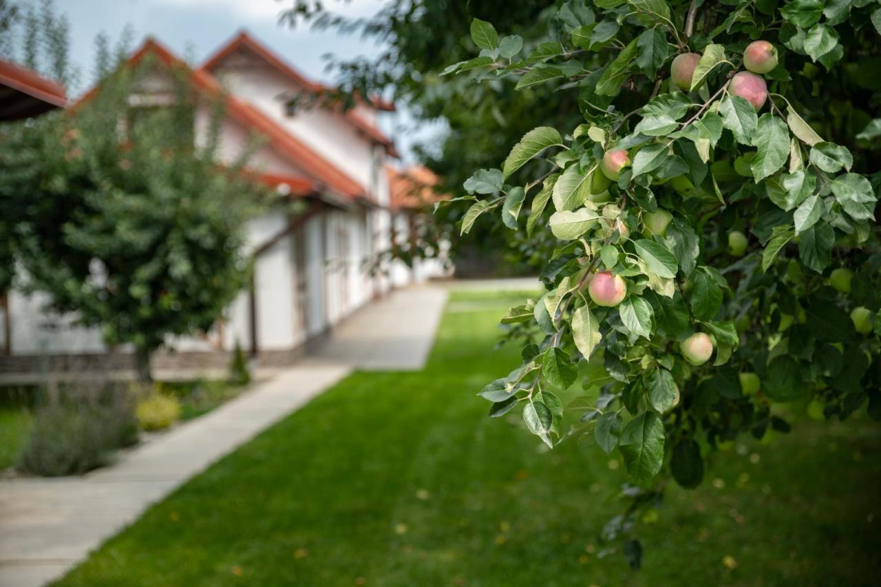 Magda Garden Hotel Cîrţişoara Екстериор снимка