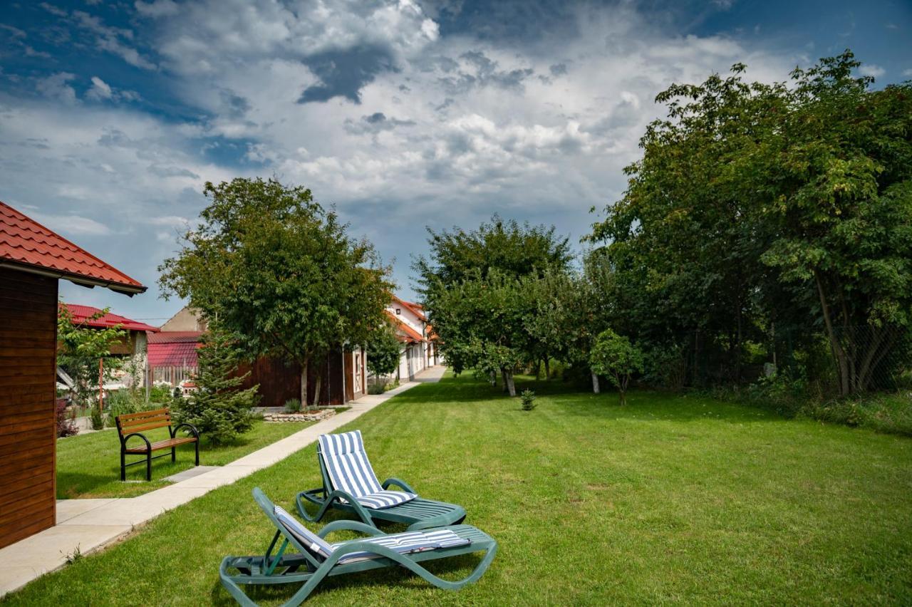 Magda Garden Hotel Cîrţişoara Екстериор снимка
