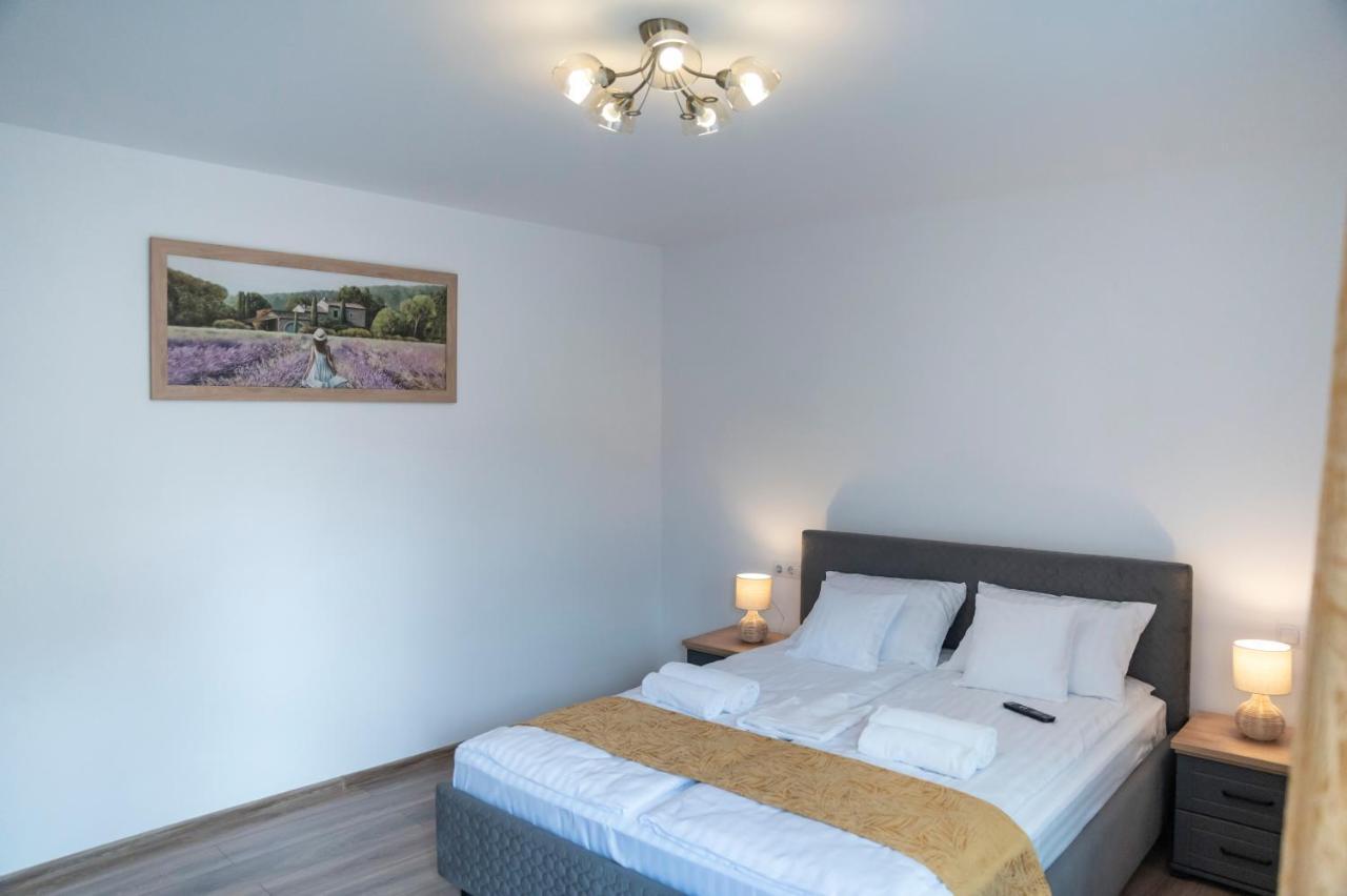 Magda Garden Hotel Cîrţişoara Екстериор снимка