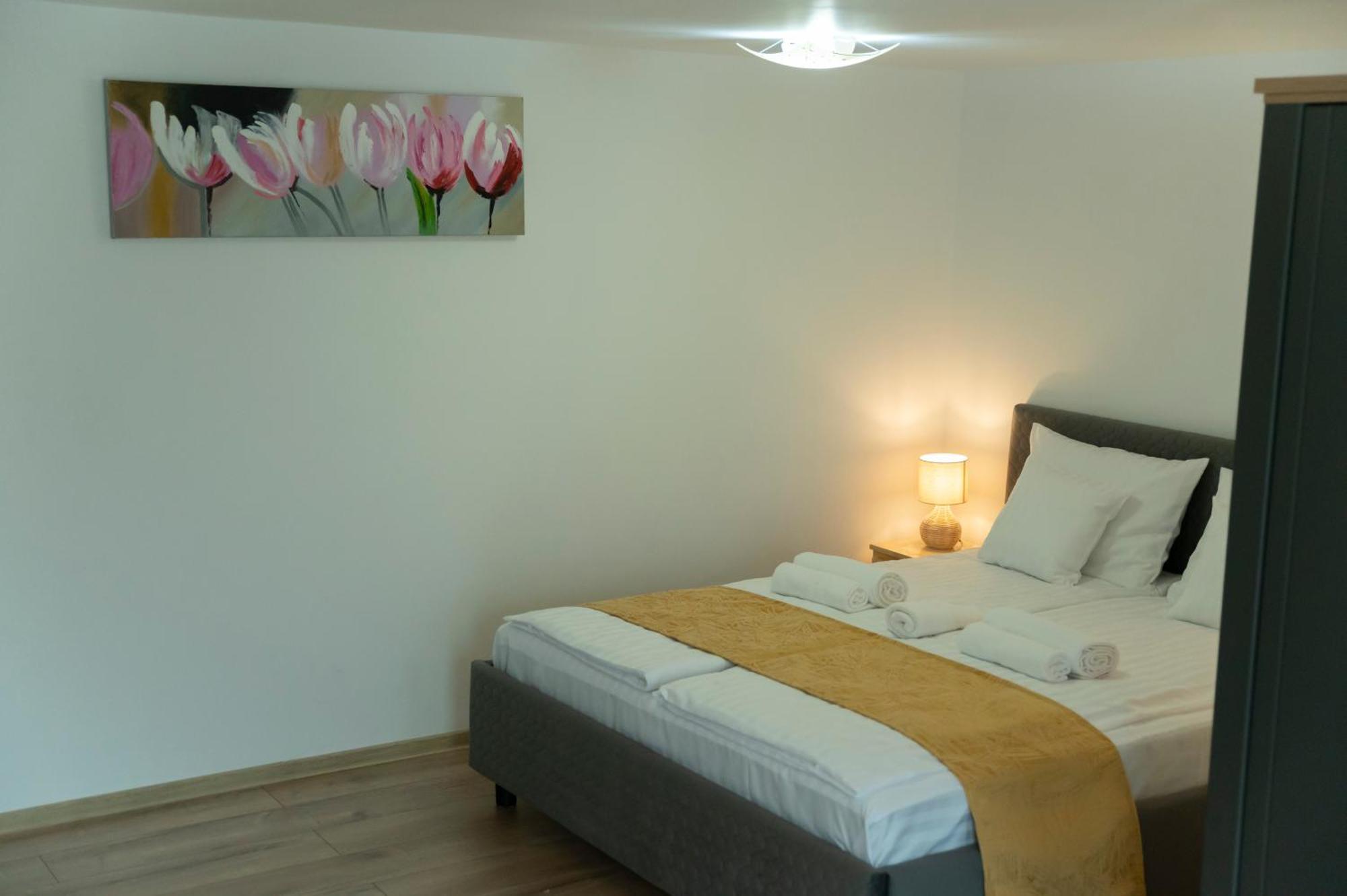 Magda Garden Hotel Cîrţişoara Екстериор снимка